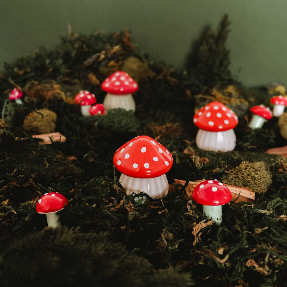 The Little Mushroom: 2oz Soy Candle