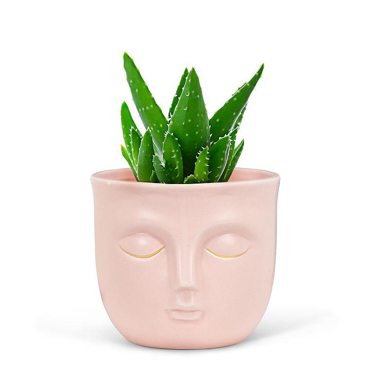 Sleepy Face Pot