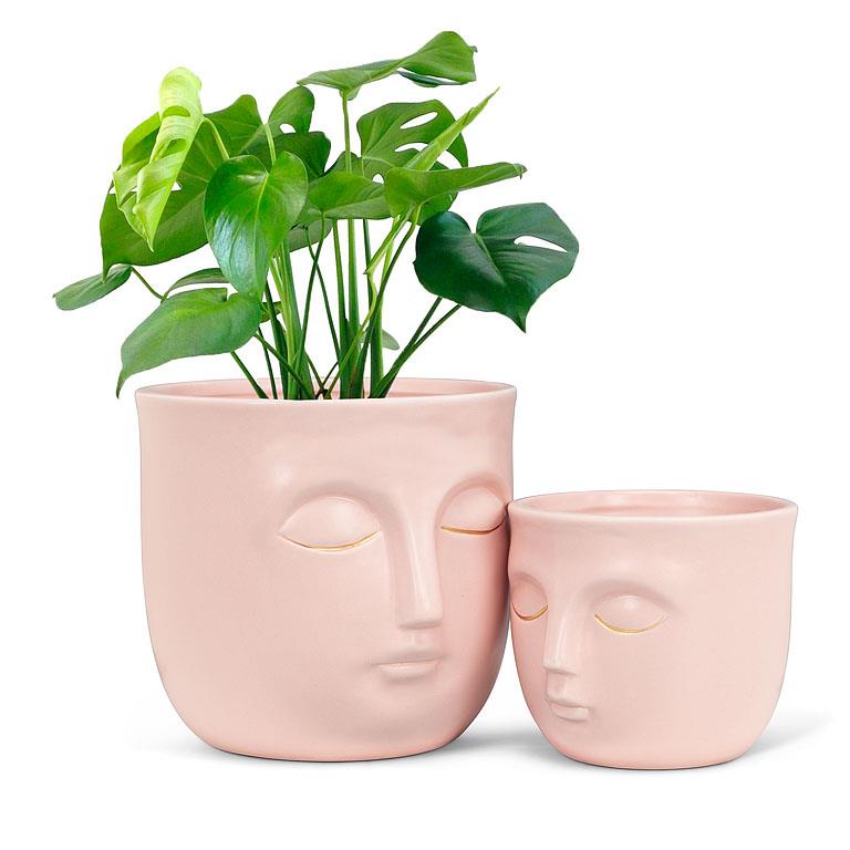 Sleepy Face Pot