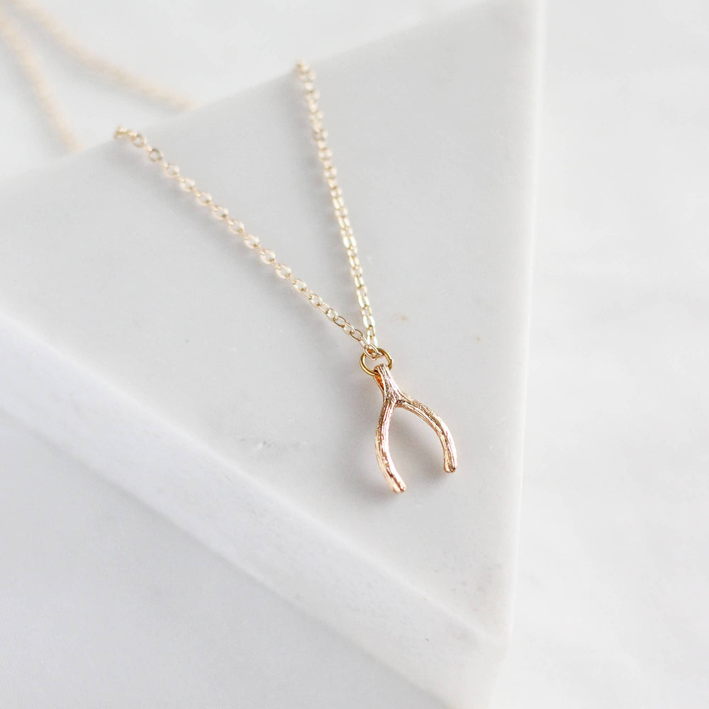 Wishbone Necklace: Gold