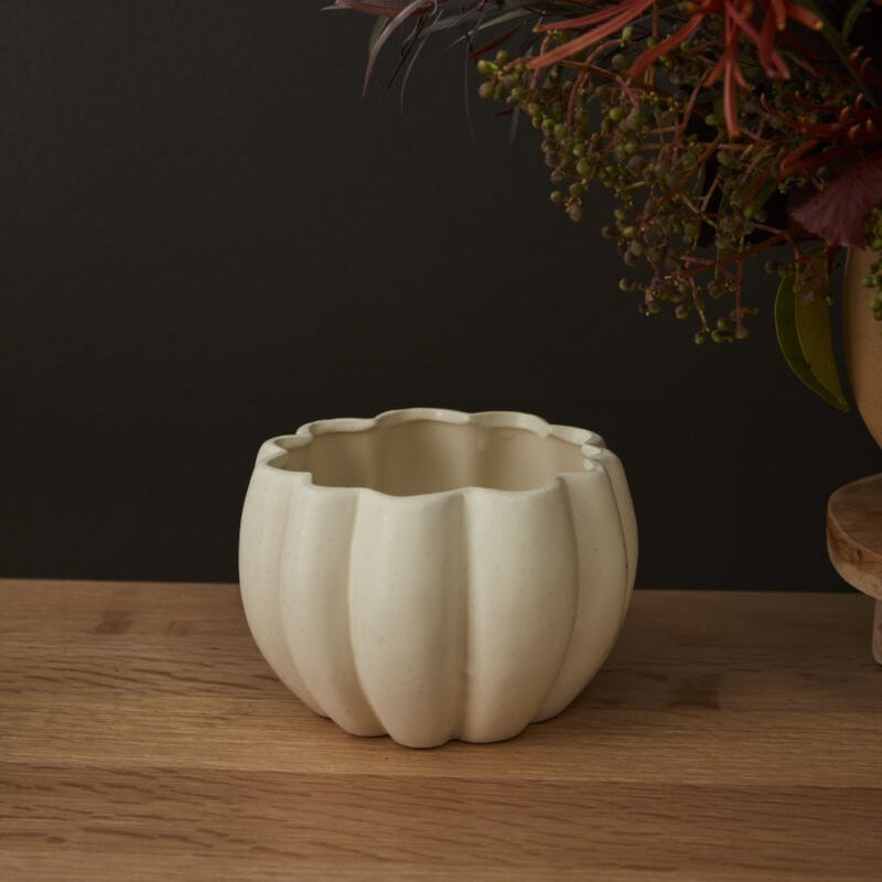 Spiced Pumpkin Pot