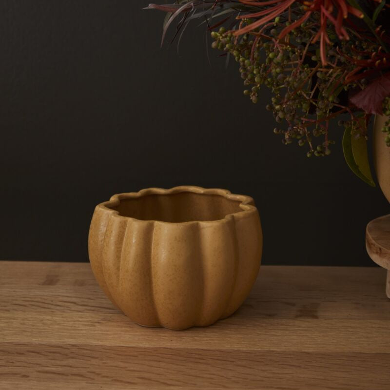 Spiced Pumpkin Pot