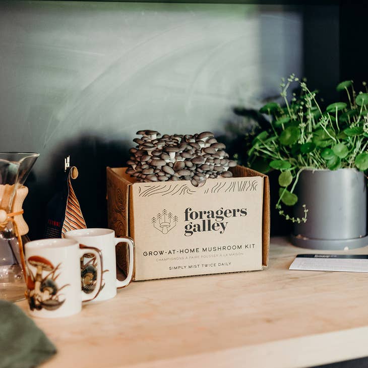 Blue Oyster Mushroom Grow-At-Home Kit • Foragers Galley