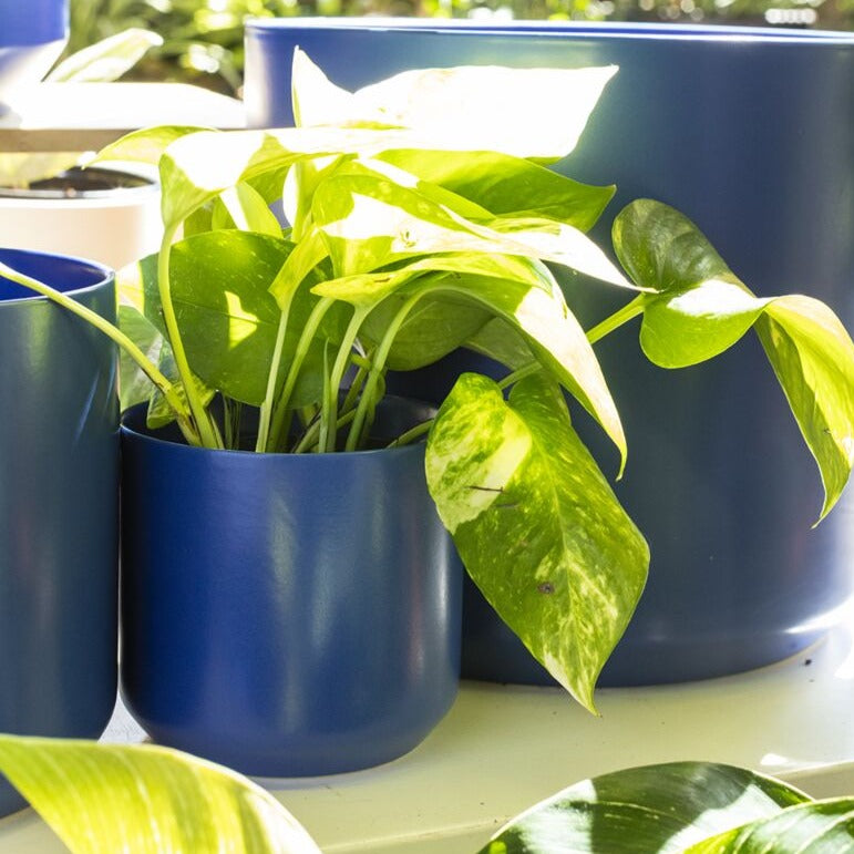Kendall Pot - Blue