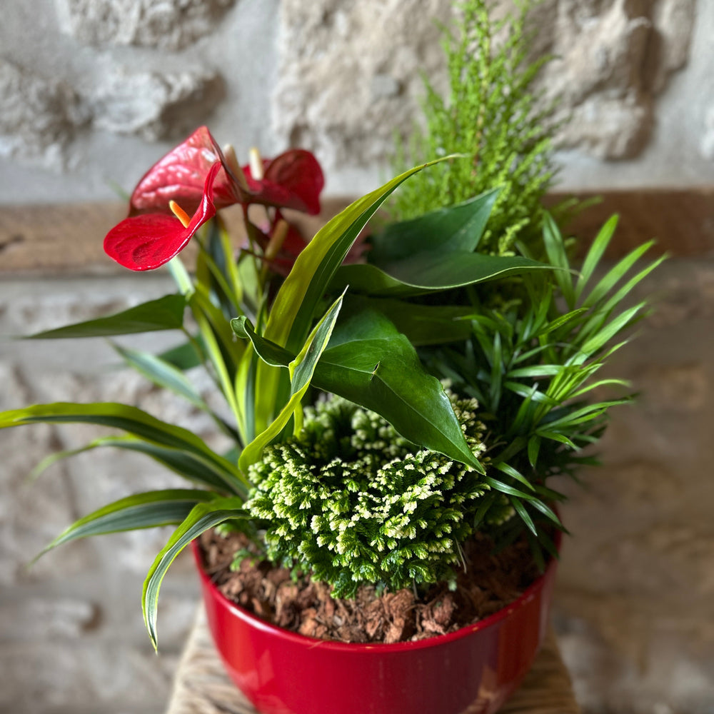 Holiday Tropical Planter