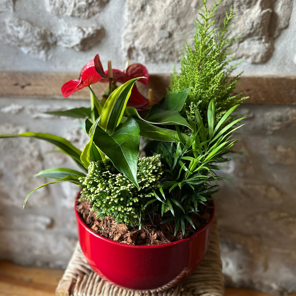 Holiday Tropical Planter