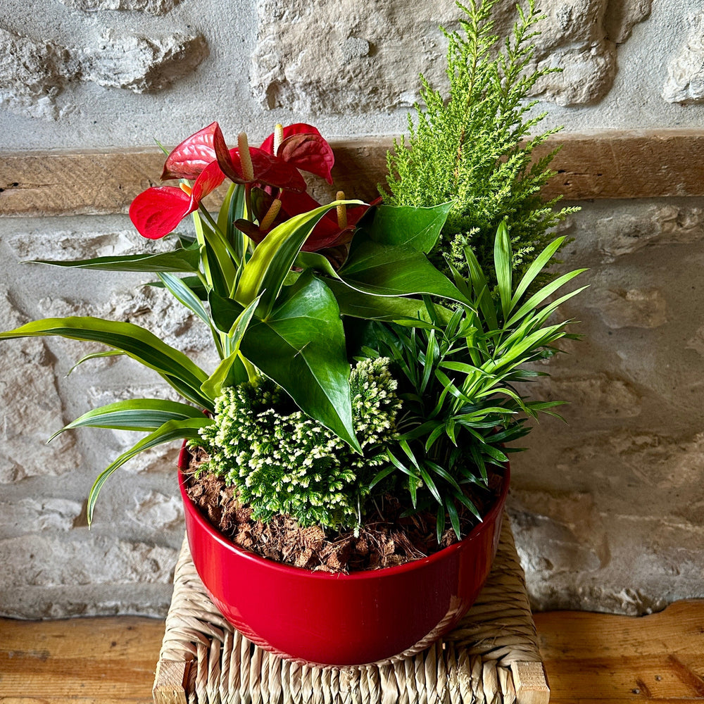 Holiday Tropical Planter
