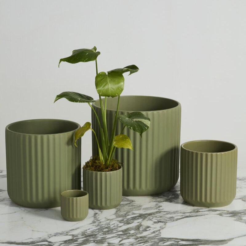 Beam Pot - Sage Green