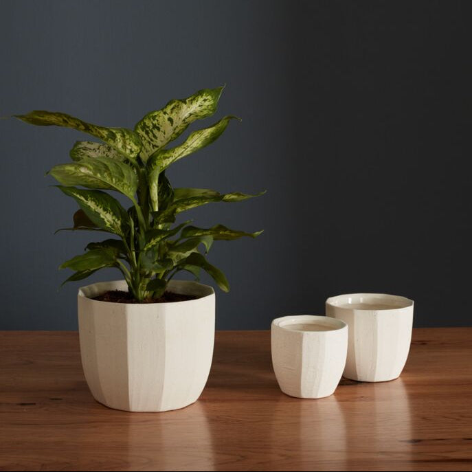 Ceramics + Vases – Sunday Blooms