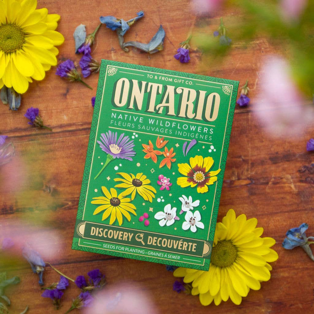 ontario native wildflower seeds Ontario Native Wildflowers
