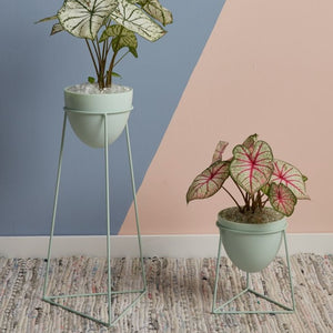 
            
                Load image into Gallery viewer, Kelly Plant Stand
            
        