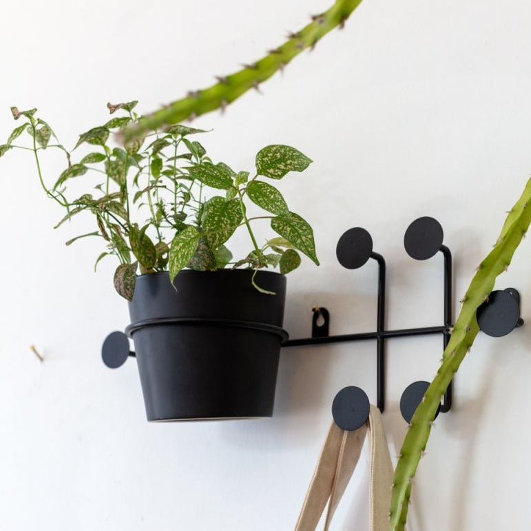 Rayen Wall Planter