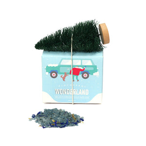 
            
                Load image into Gallery viewer, Wonderland - Clay and Salt Soak
            
        
