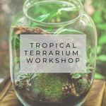 Tropical Terrarium Workshop | Tuesday, May 23rd