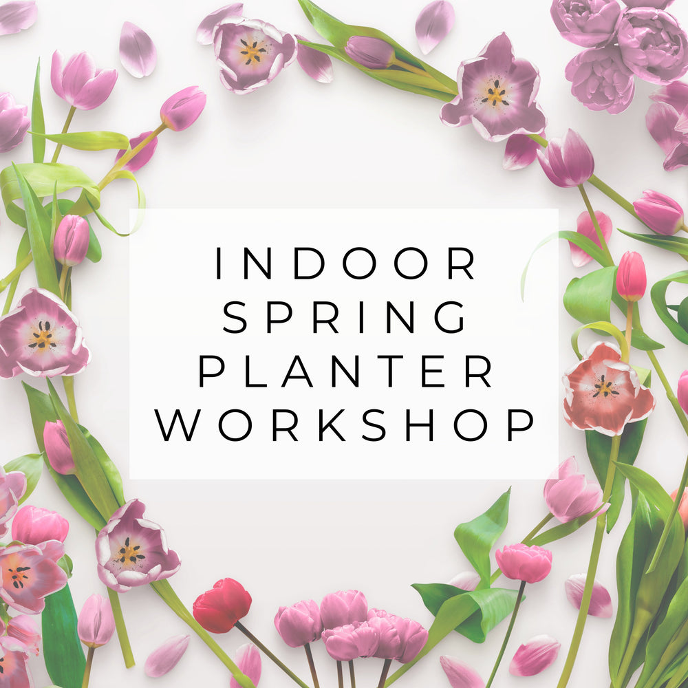 SOLD OUT - Spring Indoor Planter Workshop | Tuesday, February 28th