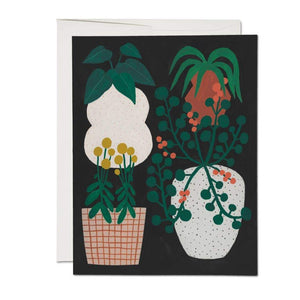 
            
                Load image into Gallery viewer, Indoor Plants Greeting Card
            
        