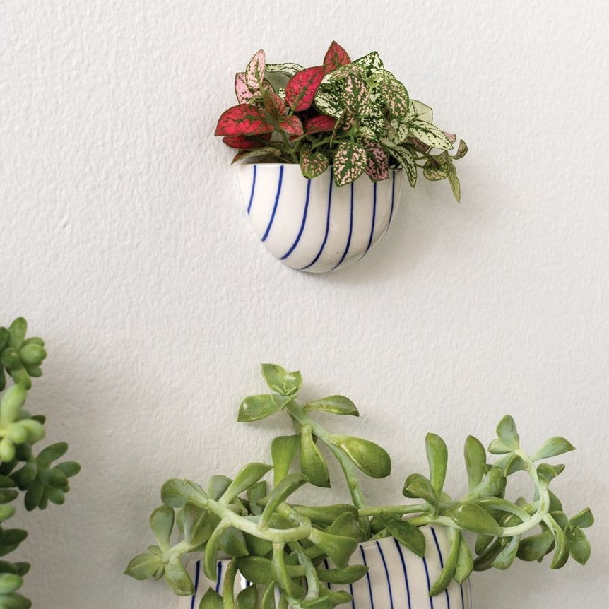 Wim Wall Planter Collection