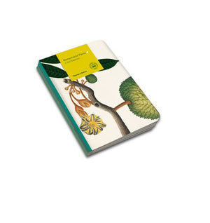 
            
                Load image into Gallery viewer, Remarkable Plants Notebooks - Set of 3
            
        