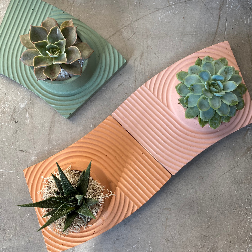 Small Cement Succulent Tray