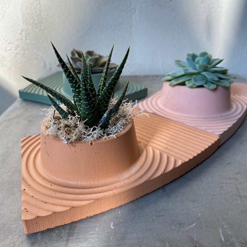 Small Cement Succulent Tray
