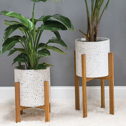 Dale Plant Stand