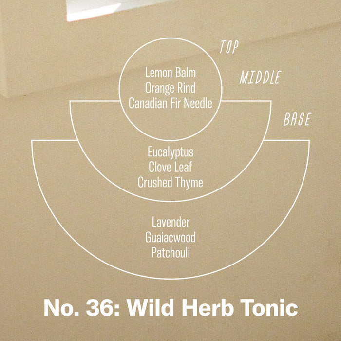 Wild Herb Tonic - 7.2 oz Soy Candle