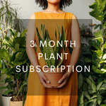 3 Month Plant Subscription
