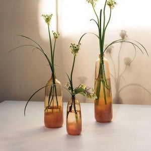 Lola Glass Vase