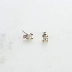 
            
                Load image into Gallery viewer, Dolce Stud Earrings
            
        