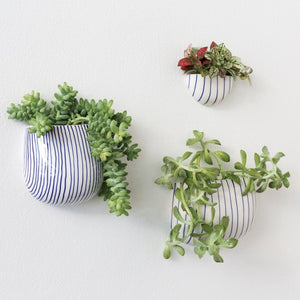Wim Wall Planter Collection